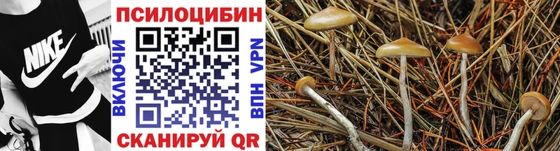 Галлюциногенные грибы мухоморы закладка мега вход Кондопога